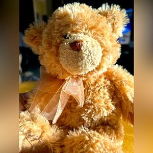Gund small brown teddy bear